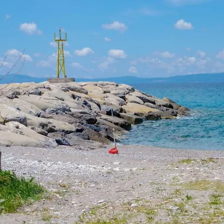 Seahorse * Akrogiali